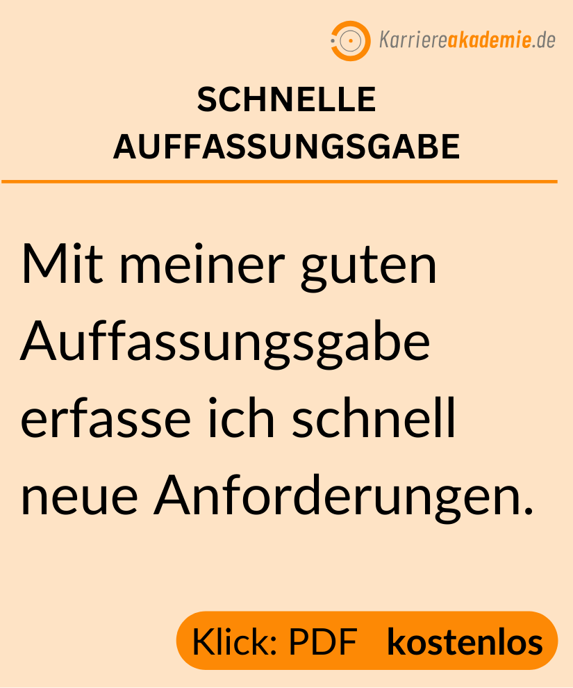schnelle-auffassungsgabe
